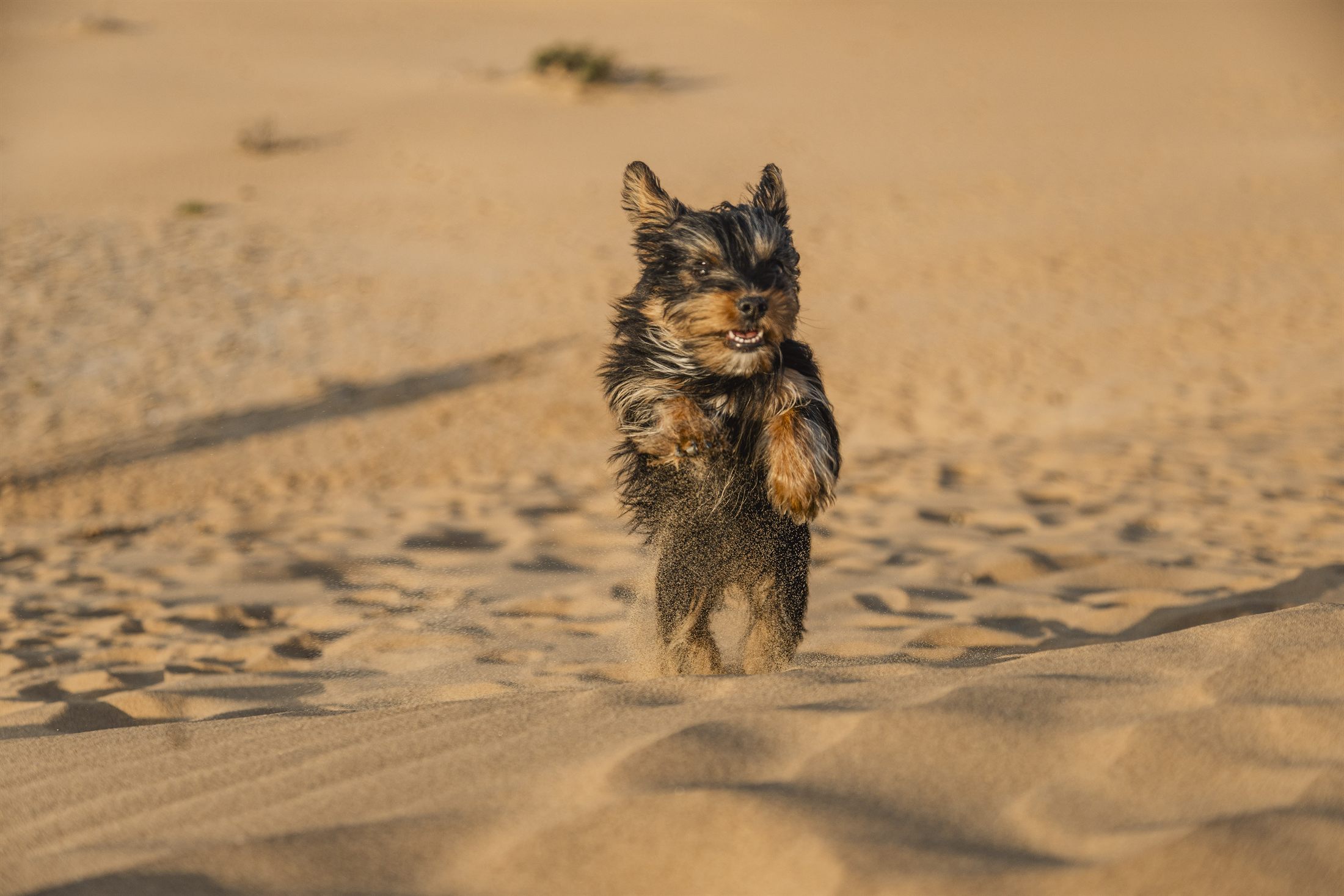 Cailey Family photo shoot