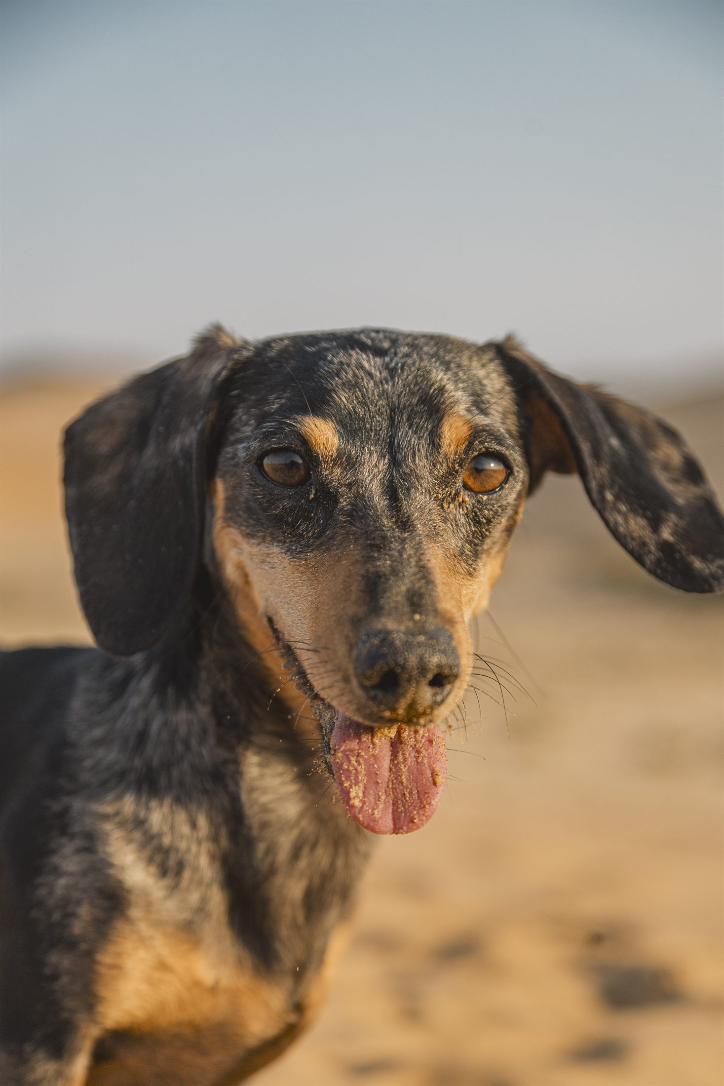 Cailey Family photo shoot