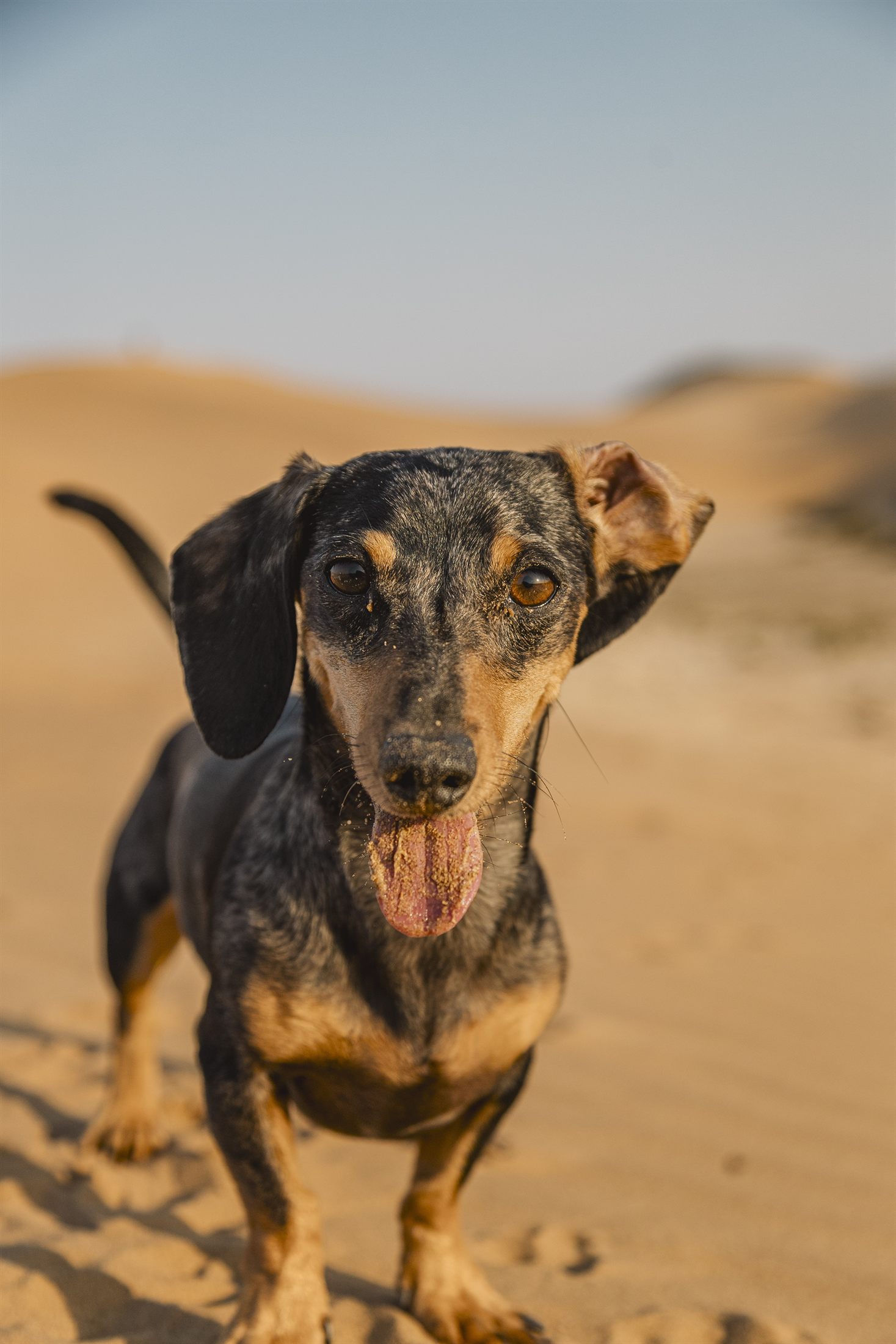 Cailey Family photo shoot