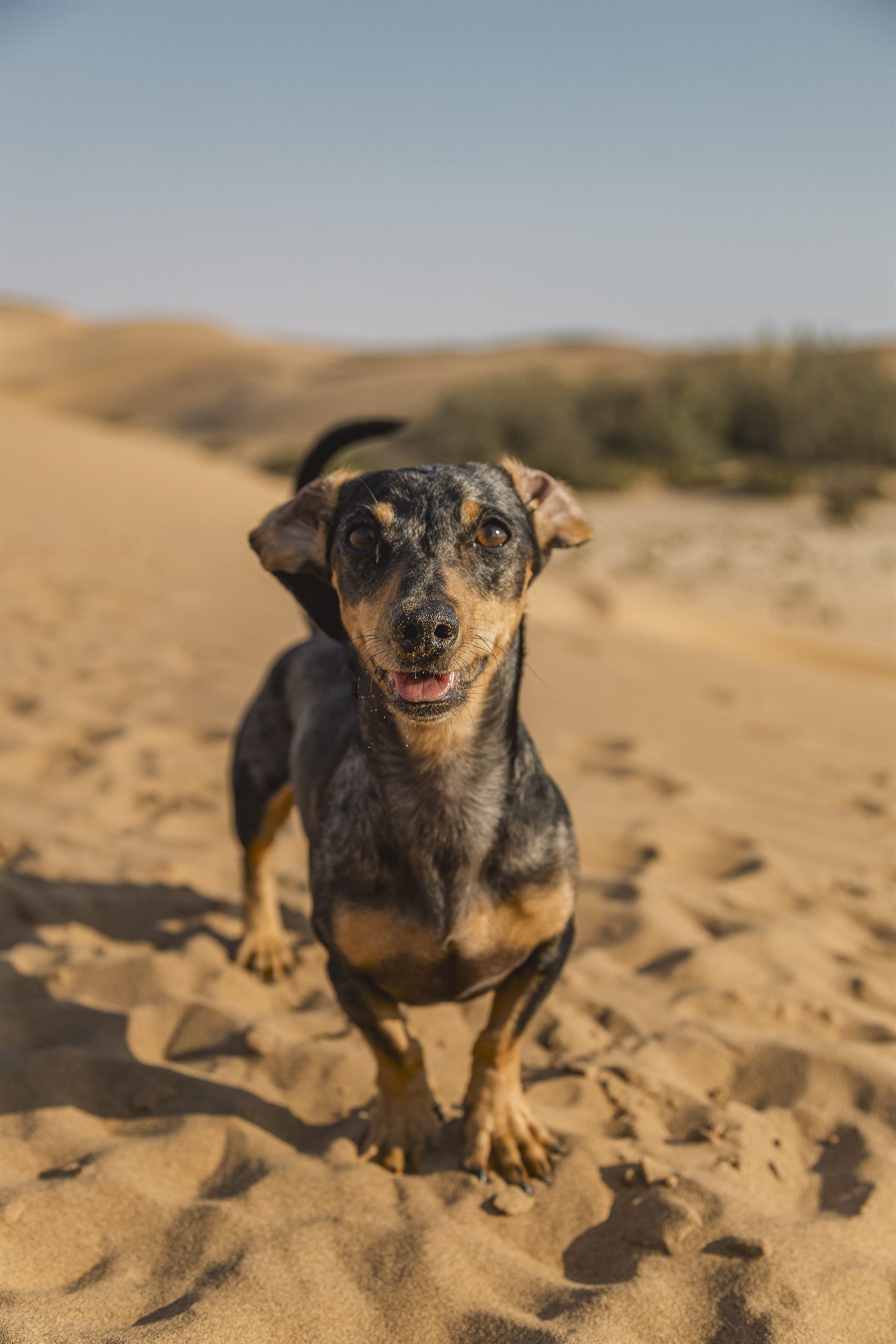 Cailey Family photo shoot