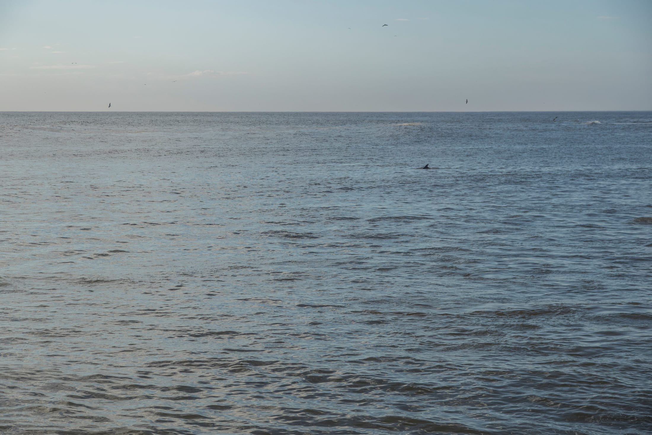 Lolla family shoot at the Swakopmund Jetty, palm-tree lane, and The Mole by Maja Carstens — photo 25 of 25